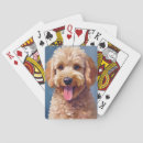 Search for golden retriever playing cards Puppy