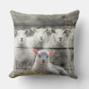 Search for sheep pillows Lamb