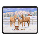 Search for cute trailer hitch covers Winter
