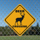 Search for deer crossing signs Warning