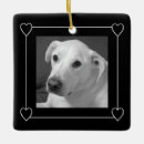 Search for dog frame ornaments Simple