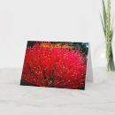 Search for new zealand christmas cards Pohutukawa