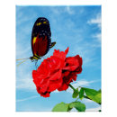 Search for pollinator posters Nature