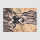Search for goat tissue paper Vintage