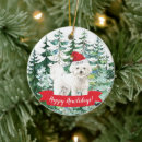 Search for bichon frise ornaments Puppy