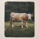 Search for cow blankets Landscape