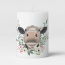 Search for cow candles Animal