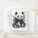 Search for panda folders Bear