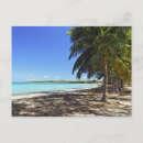 Search for island postcards Palm tree