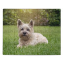 Search for baby puzzles Dog