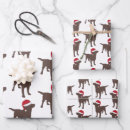 Search for chocolate lab wrapping paper Ricaso