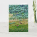 Search for crane cards Landscape