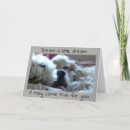 Search for phd cards Daughter