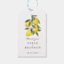 Search for olive favor tags Summer