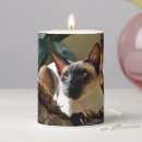 Search for siamese cat gifts Seal point siamese