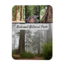 Search for sequoia national park magnets Nature