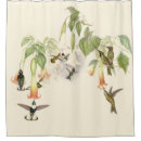 Search for birds shower curtains vintage