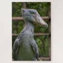 Search for nerd gifts Shoebill