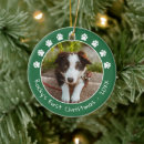 Search for dog ornaments Green