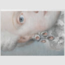 Search for renaissance tissue paper Decoupage