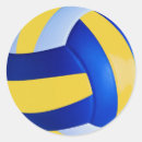 Search for volleyball stickers Coach