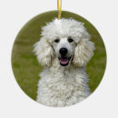 Search for poodle ornaments White