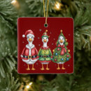 Search for duck ornaments Winter