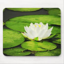 Search for water mousepads green