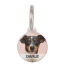 Search for photo pet tags Puppy