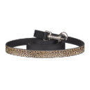 Search for cat leashes Abstract