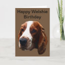 Search for springer spaniel birthday cards Happy