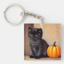 Search for halloween gifts Spooky cat