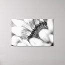 Search for black white sunflower art Monochrome
