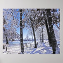Search for snow covered trees posters Scenic
