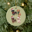 Search for dachshund ornaments Santa
