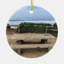 Search for oregon ornaments Beach