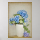 Search for vintage hydrangea posters Bloom