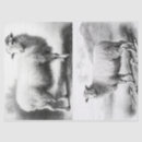 Search for sheep tissue paper Easter