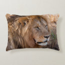 Search for reserved for cats pillows Africa
