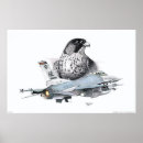 Search for fighter jet posters Falcon
