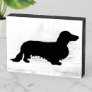 Search for long haired dachshund art Wiener