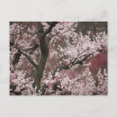 Search for osaka postcards Outdoors