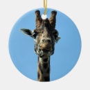 Search for giraffe ornaments Fun