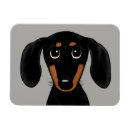 Search for dachshund magnets Cute