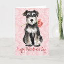 Search for schnauzer valentines day cards Puppy
