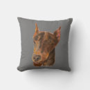 Search for doberman with natural ears Dobie