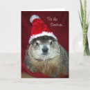 Search for rat christmas cards Rodent