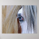 Search for draft horse art Vanner
