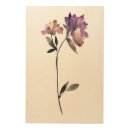 Search for deckled edge Botanical