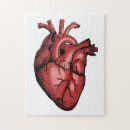 Search for medical puzzles Surgeon